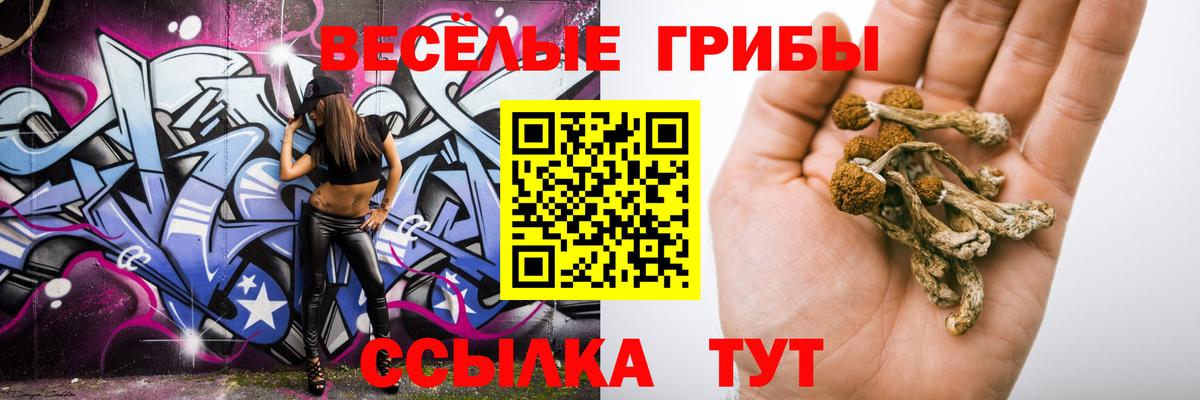 Галлюциногенные грибы Magic Shrooms  Вход с VPN  Можга 